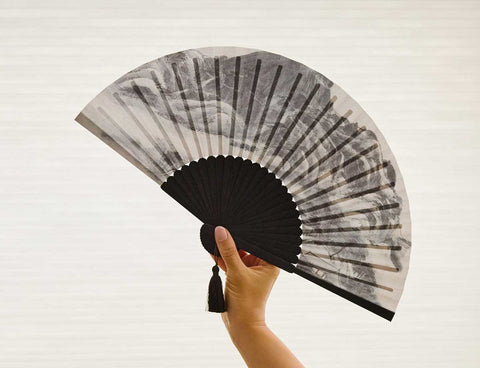 Folding fan (Clearing after Rain on Mount Inwang)