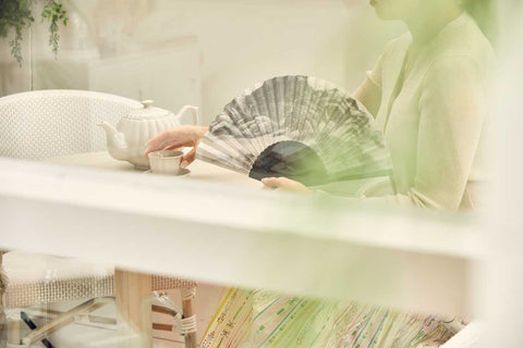 Folding fan (Clearing after Rain on Mount Inwang)