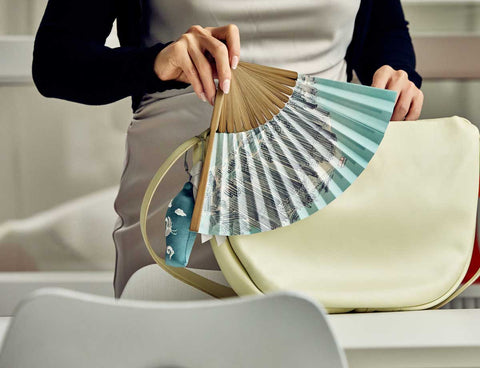 Folding fan (Album of Sea and Mountains)