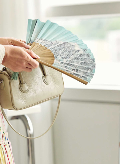 Folding fan (Album of Sea and Mountains)