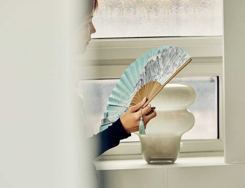 Folding fan (Album of Sea and Mountains)