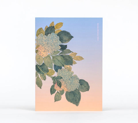 Cahier (Hortensia)