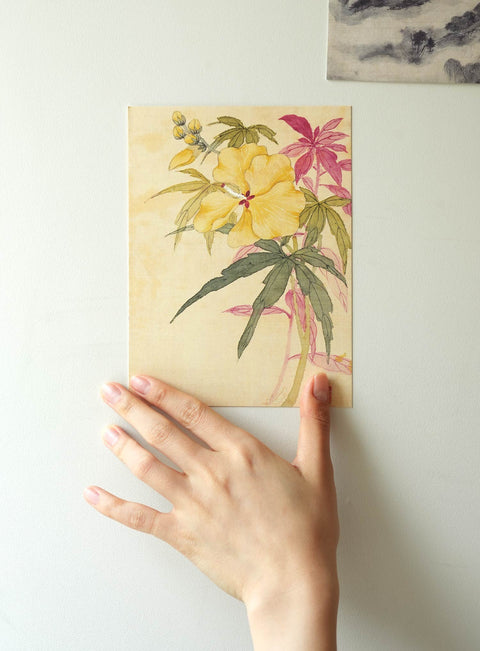 Postcard(Hibiscus)