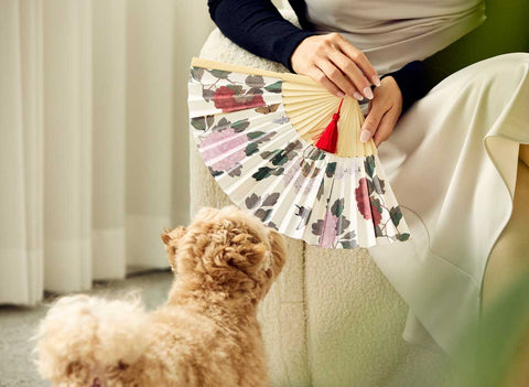 Folding Fan(Flowers and Butterflies)