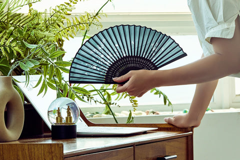 Fabric Fan (black)